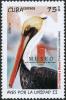 Colnect-3661-842-Brown-Pelican%C2%A0Pelecanus-occidentalis.jpg