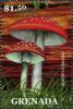 Colnect-3073-694-Amanita-muscaria-sp.jpg