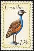 Colnect-745-219-Blue-Korhaan-Eupodotis-caerulescens.jpg