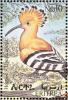 Colnect-1744-760-Eurasian-Hoopoe-Upupa-epops.jpg