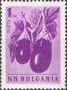 Colnect-2388-762-Eggplant-Solanum-melongena.jpg