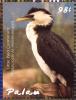 Colnect-3669-247-Little-Pied-Cormorant%C2%A0%C2%A0%C2%A0%C2%A0Microcarbo-melanoleucos.jpg