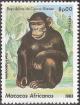 Colnect-1167-111-Chimpanzee-Pan-troglodytes.jpg