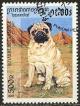 Colnect-1189-763-Pug-Canis-lupus-familiaris.jpg