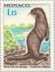 Colnect-148-182-Eurasian-Otter-Lutra-lutra.jpg