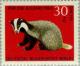 Colnect-155-076-European-Badger-Meles-meles.jpg