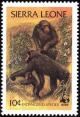 Colnect-1617-951-Chimpanzee-Pan-troglodytes.jpg