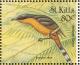 Colnect-1659-370-Mangrove-Cuckoo%C2%A0.jpg