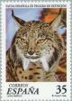 Colnect-181-064-Iberian-Lynx-Lynx-pardina.jpg