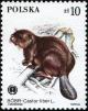 Colnect-1967-304-Eurasian-Beaver-Castor-fiber.jpg