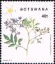 Colnect-2848-673-Solanum-seaforthianum.jpg