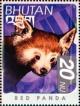 Colnect-3398-667-Red-Panda-Ailurus-fulgens.jpg