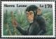 Colnect-4221-186-Chimpanzee-Pan-troglodytes.jpg