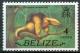 Colnect-4866-455-Southern-Tamandua-Tamandua-tetradactyla.jpg