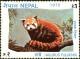 Colnect-4972-354-Red-Panda-Ailurus-fulgens.jpg