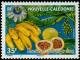 Colnect-858-872-Banana-and-apple-vine.jpg