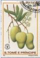 Colnect-938-195-Mangifera-indica.jpg