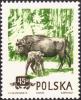 Colnect-4225-889-European-Bison-Bison-bonasus.jpg