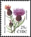 Colnect-1718-926-Common-Knapweed---Centaurea-nigra.jpg