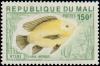 Colnect-2223-489-Blue-Tilapia-Oreochromis-aureus.jpg