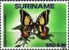 Colnect-5035-833-Graphium-epaminondas.jpg