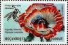 Colnect-5089-358-Papaver-orientale.jpg