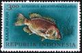 Colnect-2272-770-Mangrove-Red-Snapper-Lutjanus-argentimaculatus.jpg