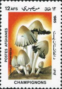 Colnect-2025-601-Common-ink-cap-Coprinopsis-atramentaria.jpg