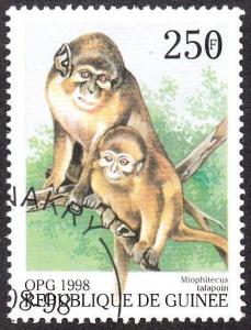 Colnect-1079-271-Angolan-Talapoin-Miophitecus-talapoin.jpg