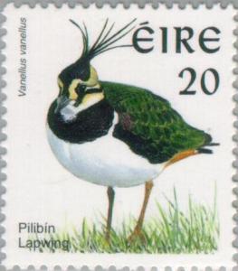 Colnect-129-422-Northern-Lapwing-Vanellus-vanellus.jpg