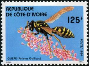 Colnect-1399-930-European-Paperwasp-Polistes-gallicus.jpg