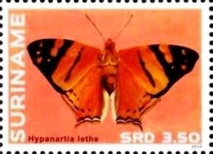 Colnect-3489-933-Orange-Mapwing-Hypanartia-lehte.jpg