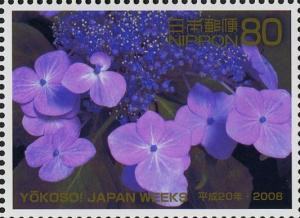 Colnect-4027-075--Japanese-Hydrangea.jpg