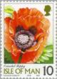 Colnect-125-209-Papaver-orientale.jpg