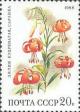 Colnect-581-803-Turk-s-cap-lily-Lilium-martagon.jpg