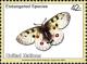 Colnect-611-513-Mountain-Apollo-Parnassius-apollo.jpg