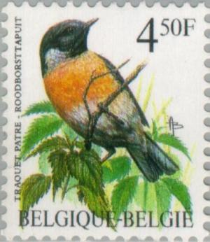 Colnect-186-515-Common-Stonechat---Traquet-patr-eacute----Roodborsttapuit.jpg