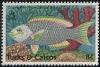 Colnect-1106-602-Queen-Parrotfish-Scarus-vetula.jpg