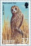 Colnect-127-931-Short-eared-Owl-Asio-flammeus.jpg