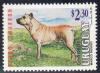 Colnect-1391-383-Uruguayan-Cimarron-Canis-lupus-familiaris.jpg