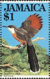 Colnect-1700-666-Jamaican-Lizard-Cuckoo-Saurothera-vetula.jpg