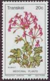 Colnect-1712-331-Pelargonium-reniforme.jpg