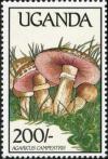 Colnect-1712-395-Agaricus-campestris.jpg