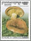 Colnect-2049-766-Lactarius-scrobiculatus.jpg