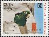 Colnect-2138-529-Cuban-Parakeet-Aratinga-euops.jpg