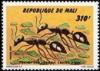 Colnect-2377-097-Black-Garden-Ant-Lasius-niger.jpg