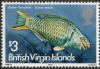 Colnect-3072-124-Queen-Parrotfish-Scarus-vetula.jpg