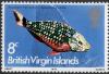 Colnect-3072-130-Stoplight-Parrotfish-Sparisoma-viride.jpg