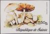 Colnect-3478-624-Agaricus-Campestris.jpg