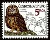 Colnect-3796-197-Short-eared-Owl-Asio-flammeus.jpg